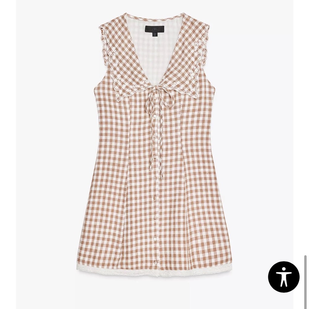 Zara Brown and White Gingham Mini Dress